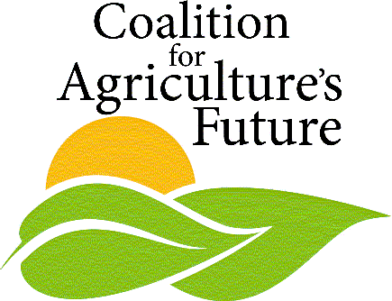 CAF Logo